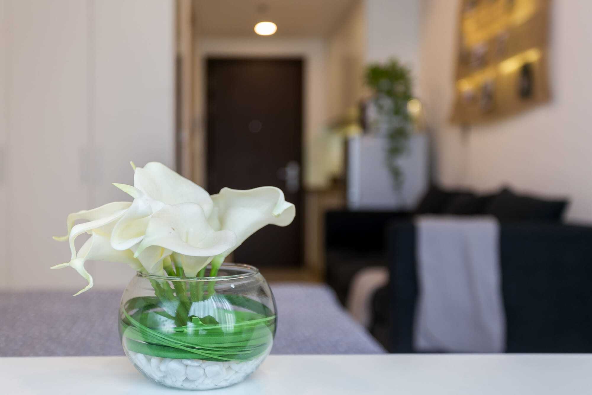 Macy Studio Apartment Ciudad Ho Chi Minh  Exterior foto