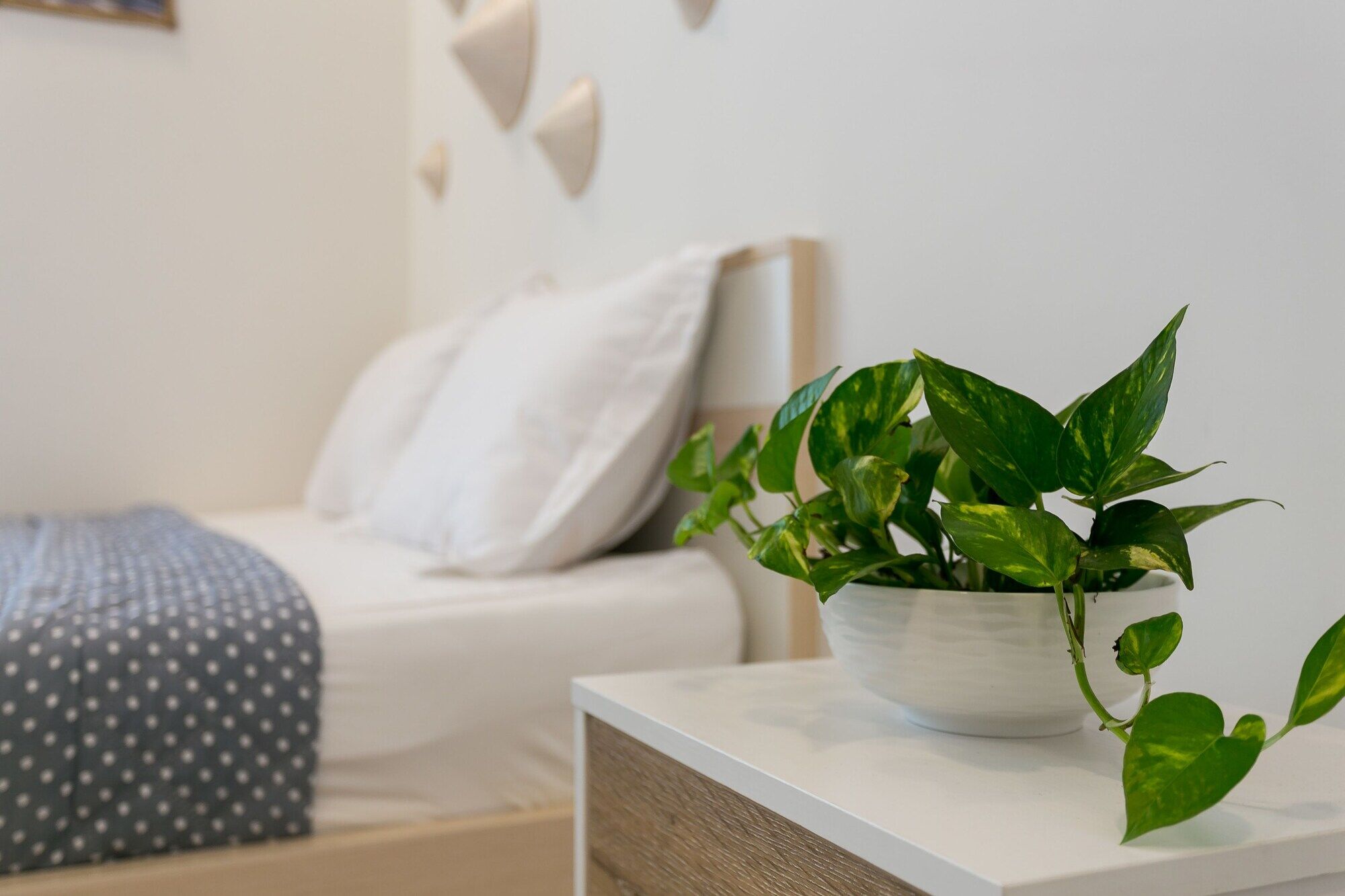Macy Studio Apartment Ciudad Ho Chi Minh  Exterior foto